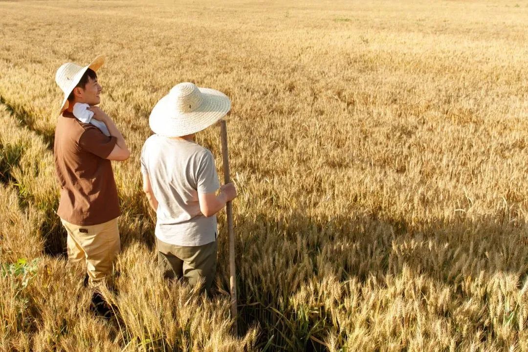 1100万人选择返乡，，怎样助力他们做事创业？