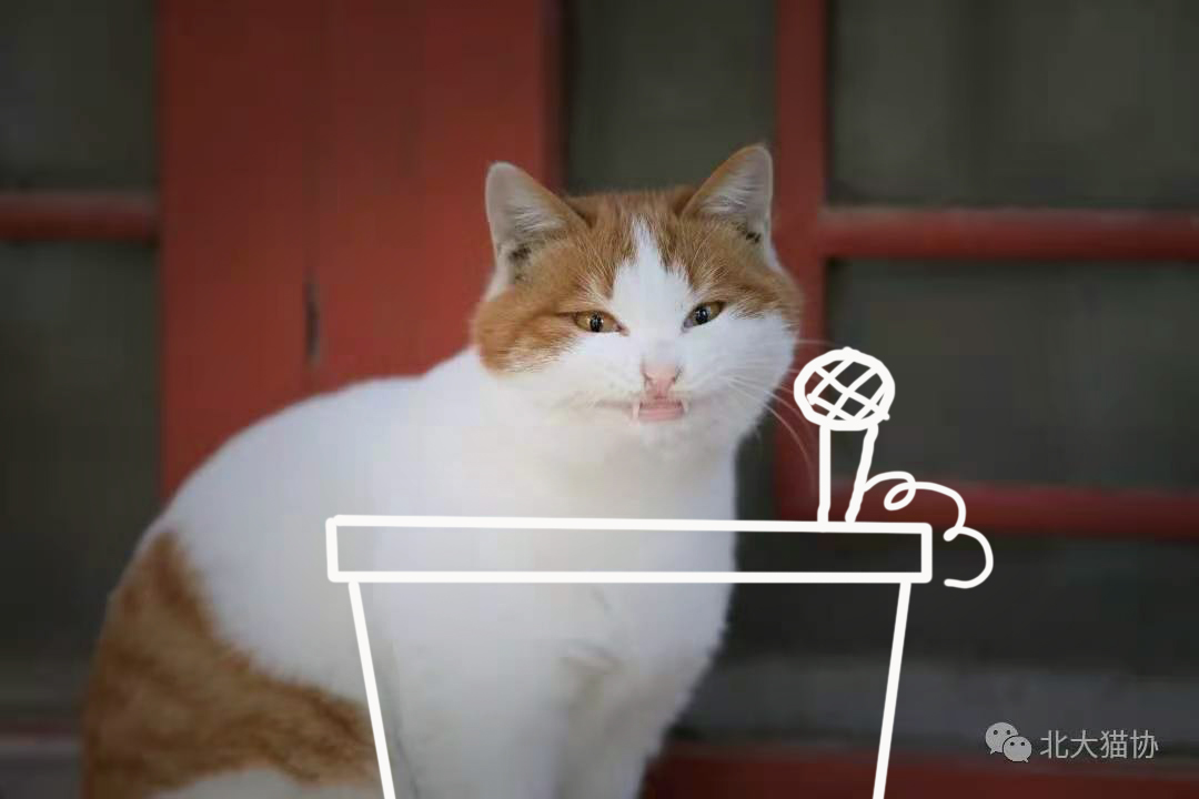 5EBC9E48B2485FE1C74EC9B87F6_B2745E44_32D0C