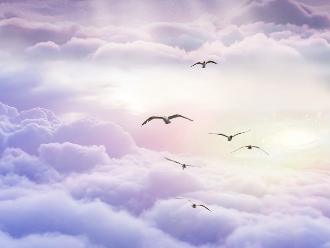 UG环球·(中国集团)官方网站