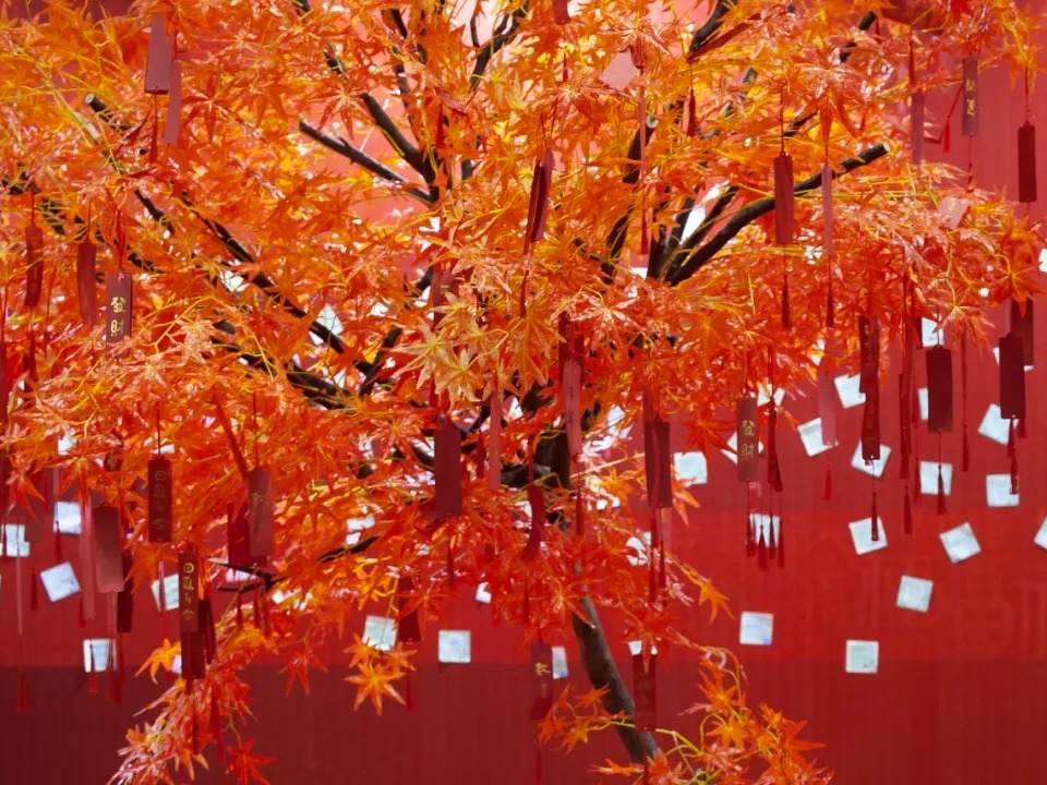 UG环球·(中国集团)官方网站