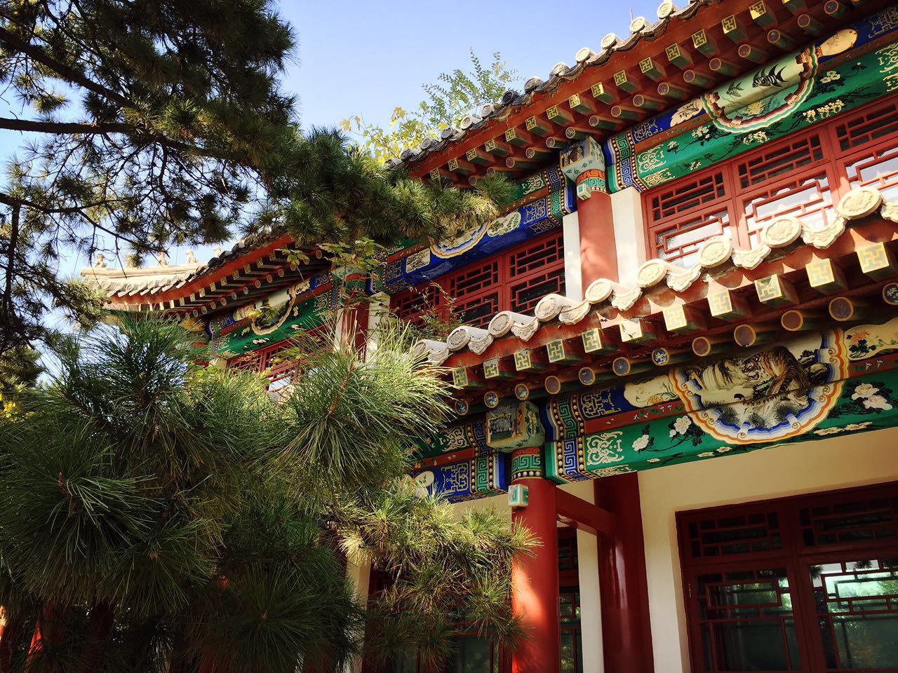 3774ABD0E8B45850365D42A168D_E3B7ED9C_542C5.jpg?e=