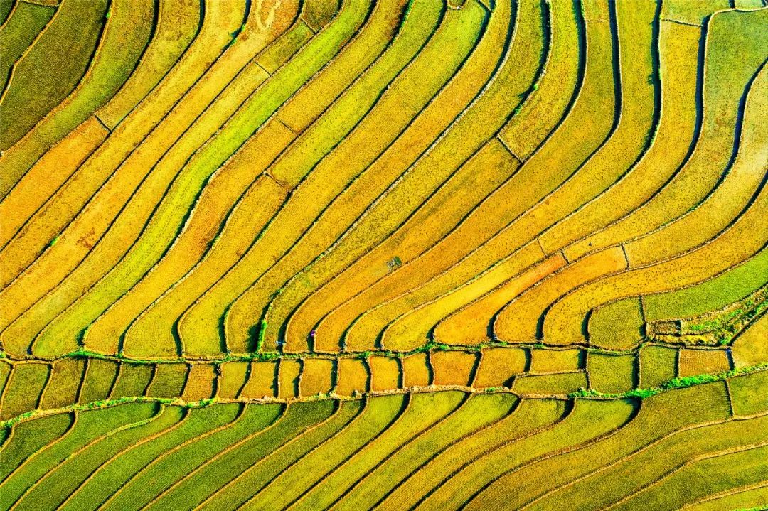 在印度做的这场实验，，适合中国吗？？丨UG环球头脑力夏日论坛