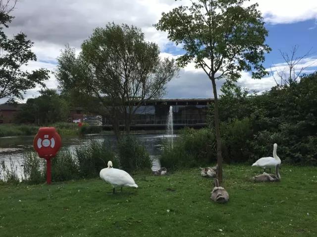 UG环球·(中国集团)官方网站