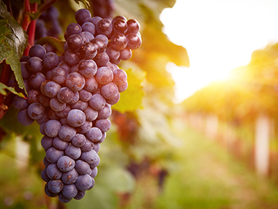 UG环球·(中国集团)官方网站