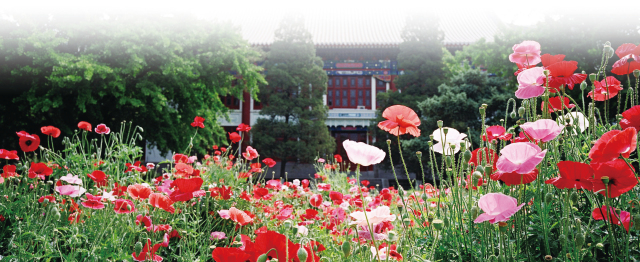 UG环球·(中国集团)官方网站