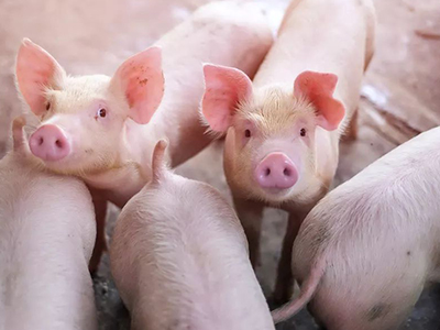 UG环球·(中国集团)官方网站