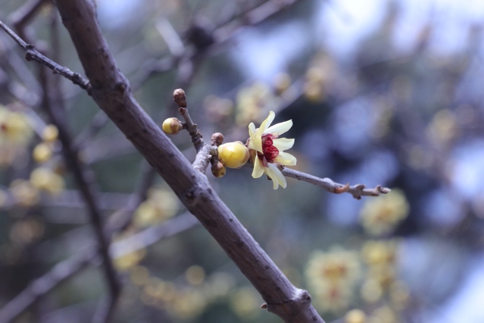 UG环球·(中国集团)官方网站