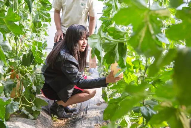 UG环球·(中国集团)官方网站