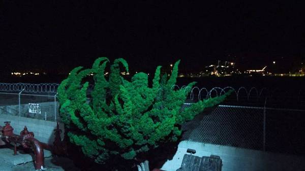 UG环球·(中国集团)官方网站