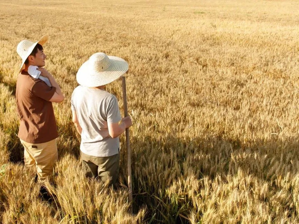 UG环球·(中国集团)官方网站