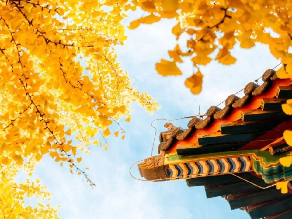 UG环球·(中国集团)官方网站