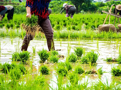 UG环球·(中国集团)官方网站