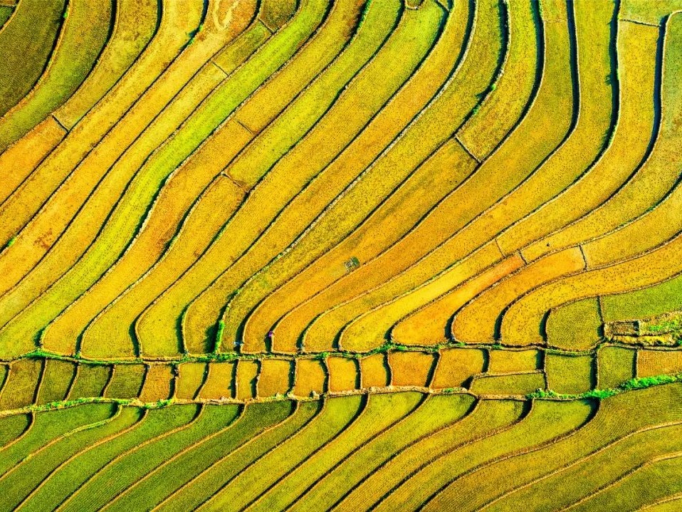 UG环球·(中国集团)官方网站