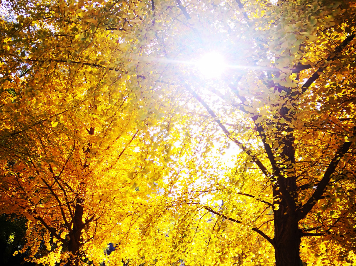  MPAcc分享会干货满满 | 尊重经济实质，，回归会计初志 