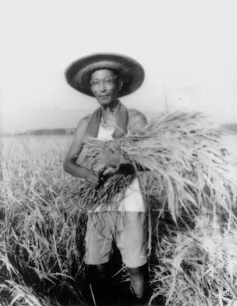 07467EE6A8E14D0B257CD49BA48_209FD35E_9227.jpeg?e=