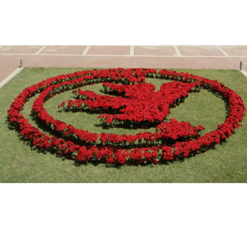 UG环球·(中国集团)官方网站