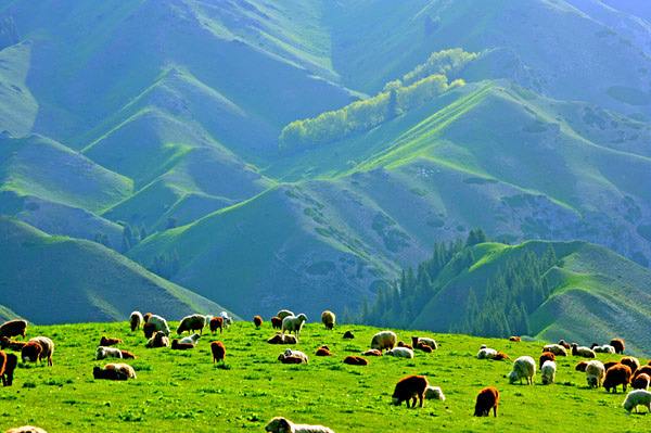 UG环球·(中国集团)官方网站