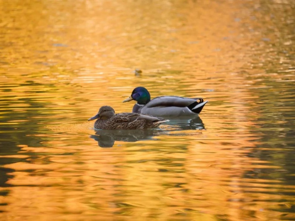 UG环球·(中国集团)官方网站