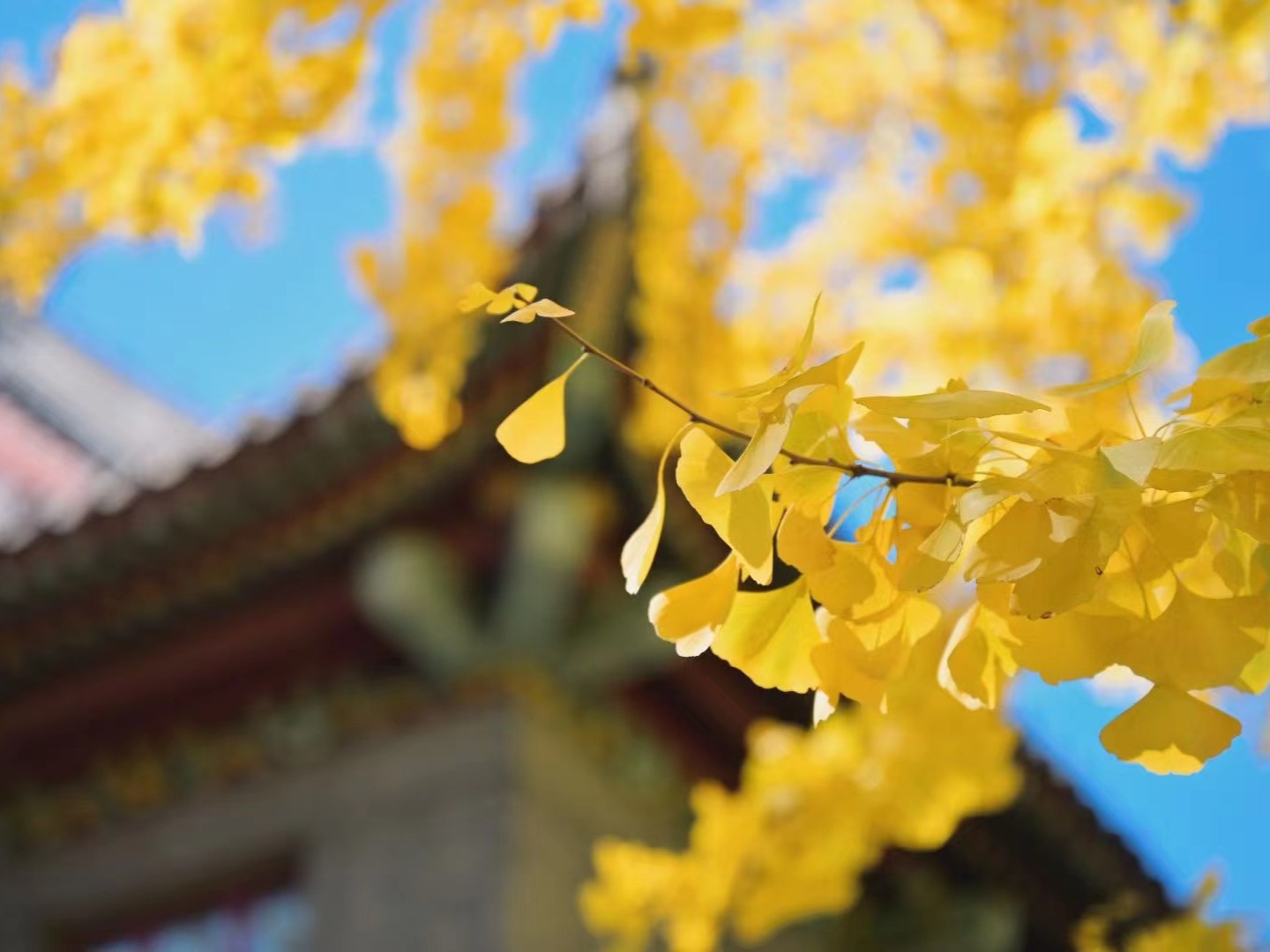 UG环球·(中国集团)官方网站