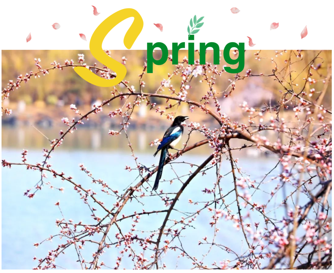 北大春日限制！！！带你一起寻找“因、、、思、、、想、、、而、、、光、、、华！！！”