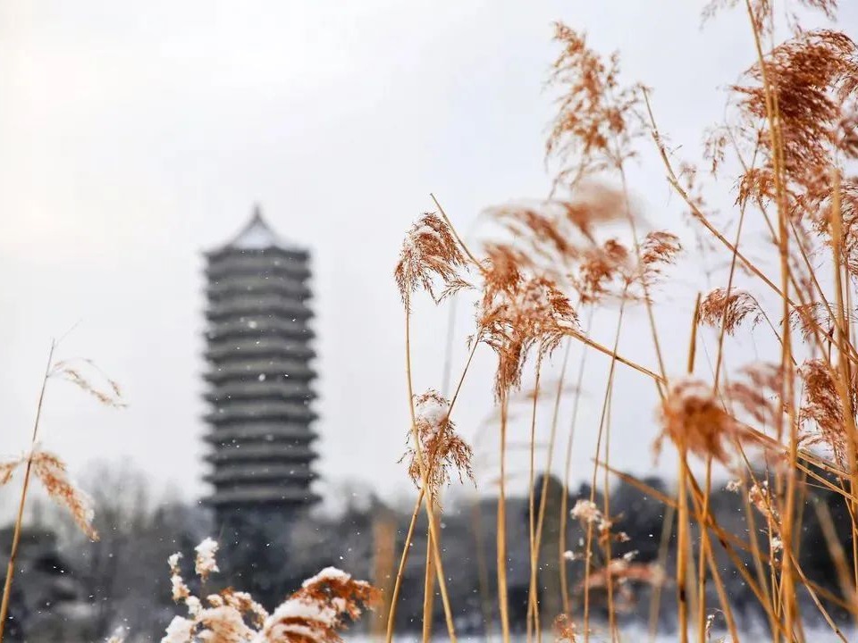 UG环球·(中国集团)官方网站