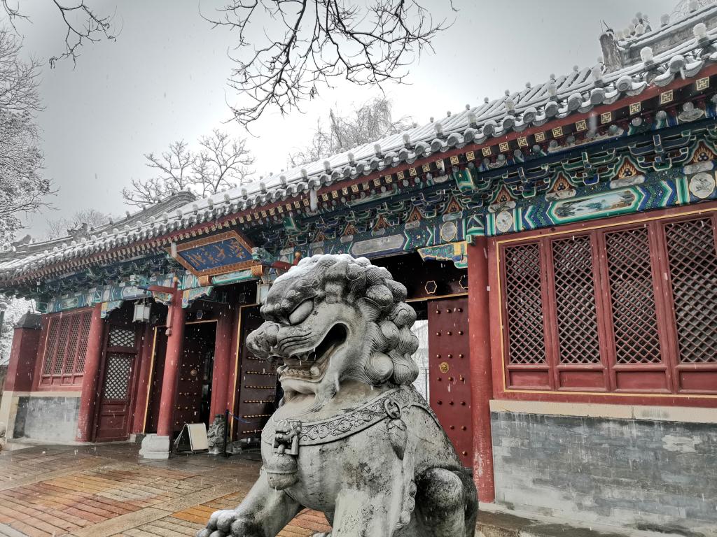  考研倒计时 | 预？佳欣殖！！！ 