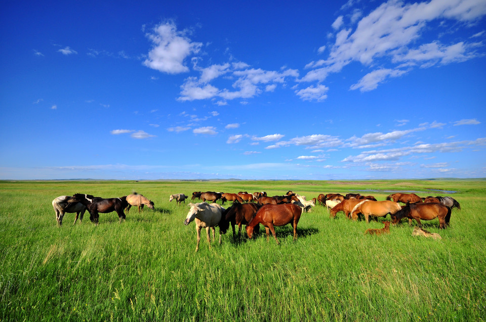 UG环球·(中国集团)官方网站