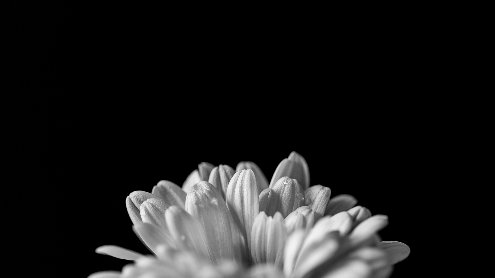 UG����(�й�����)�ٷ���վ