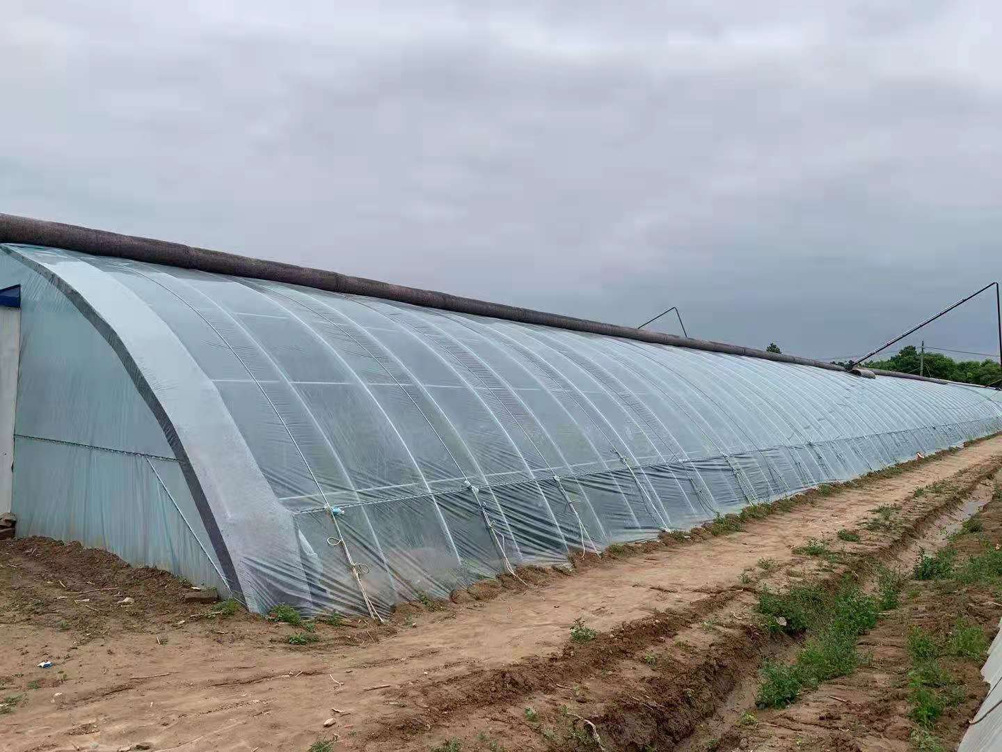 95EB5A8615BAEDCF57F4D5F75F9_56375FF8_2ABF7.jpeg?e=