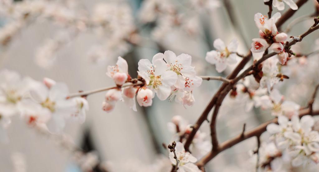 UG����(�й�����)�ٷ���վ