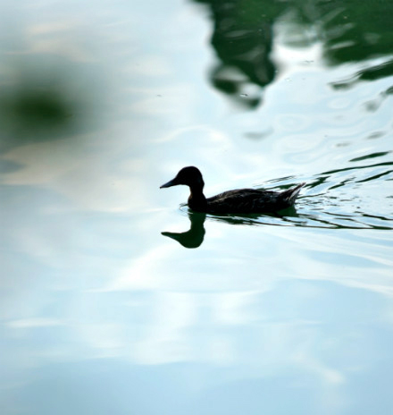 UG环球·(中国集团)官方网站