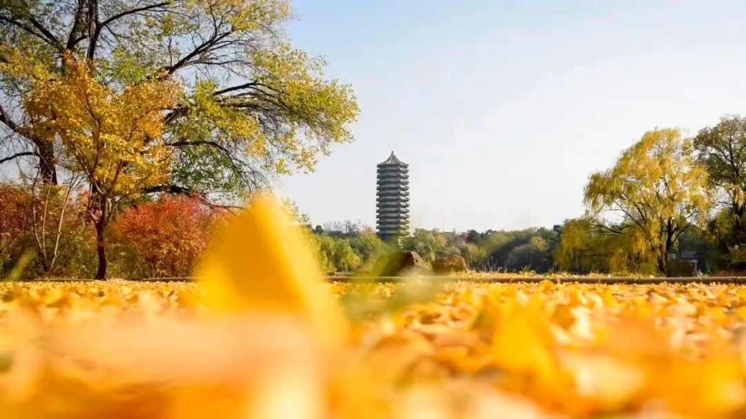 UG环球·(中国集团)官方网站