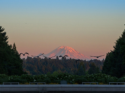 UG环球·(中国集团)官方网站