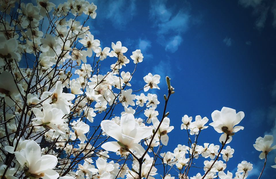 UG环球·(中国集团)官方网站