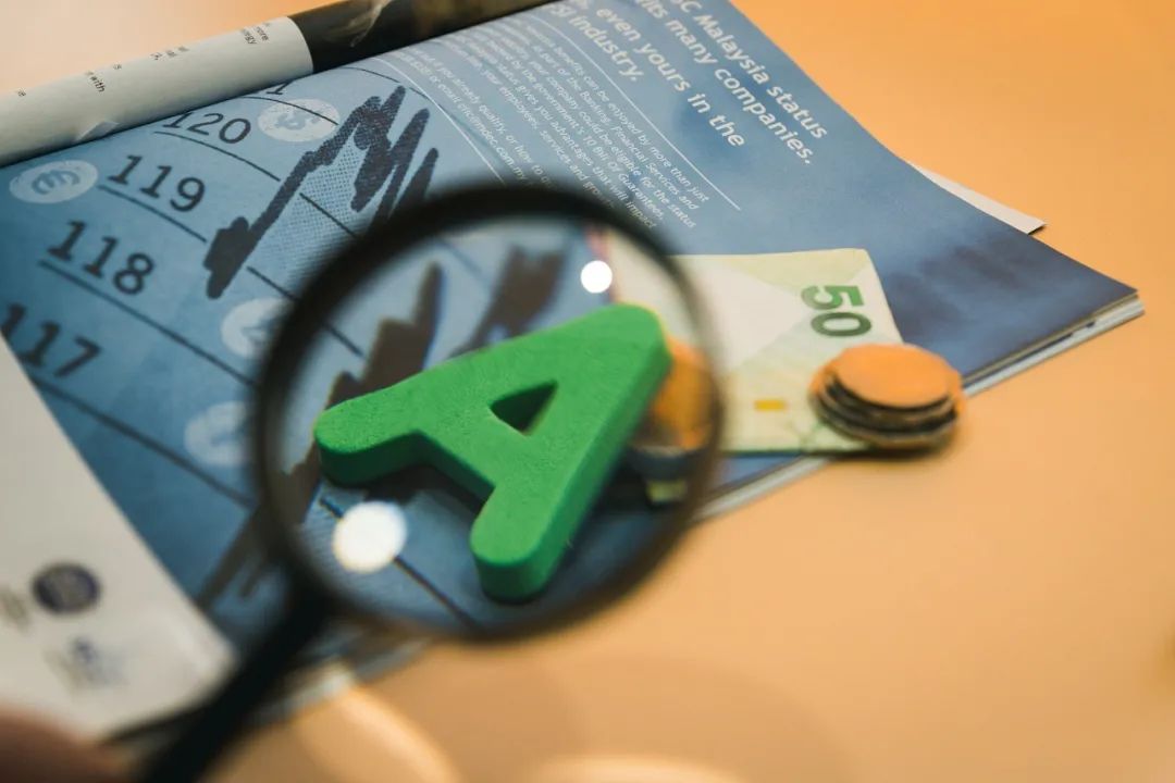 报告｜卢海：：一文获取A股上市公司信息披露和ESG的“门道”