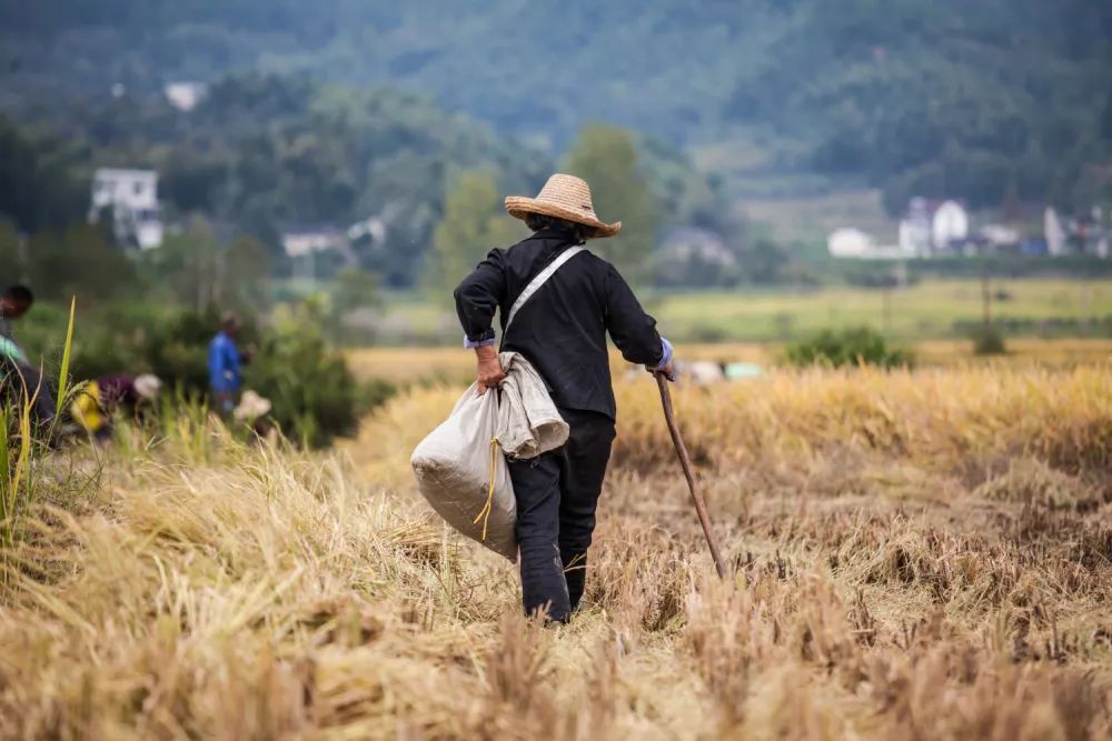 雷 明：人类历史上最伟大的故事之一，，，我们该怎样讲述？？？
