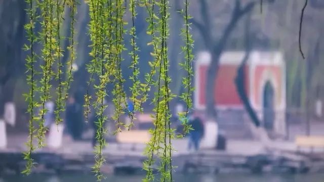 UG环球·(中国集团)官方网站