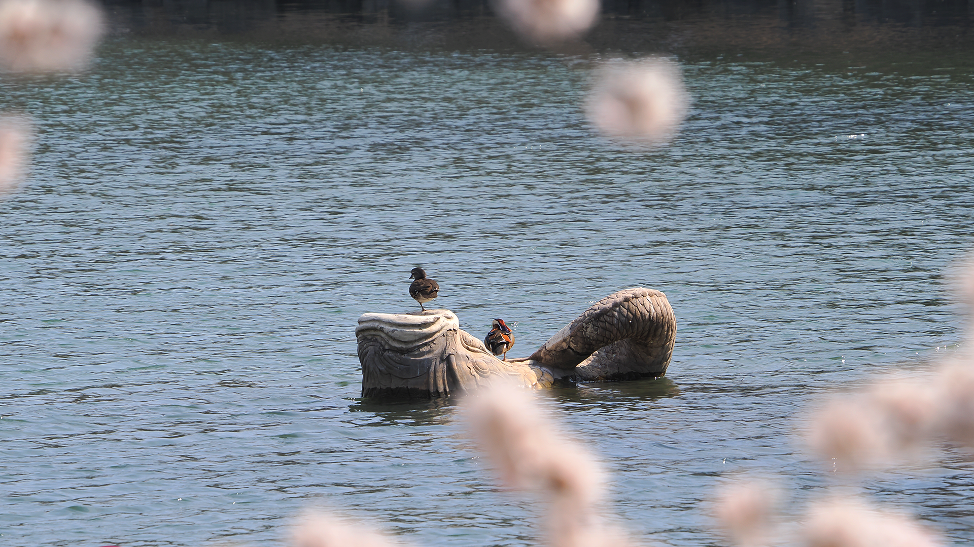 UG环球·(中国集团)官方网站